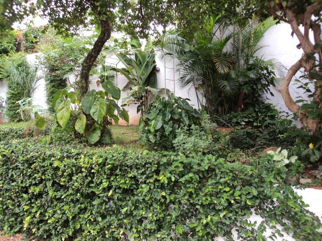 Iguassu Central Flats Foz do Iguacu Exterior photo